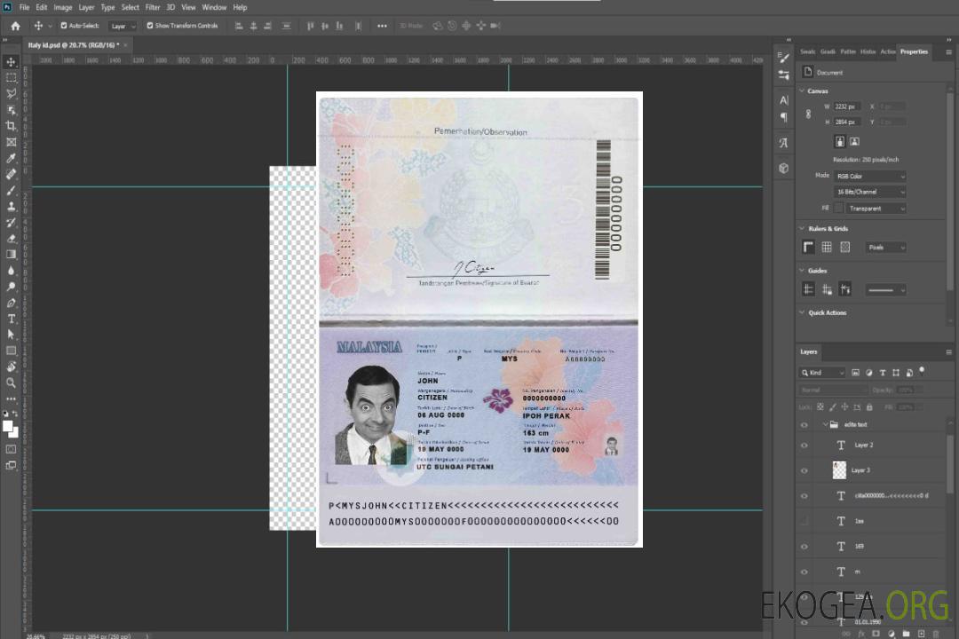 Modèle de passeport malaisien au format PSD, version 1, entièrement modifiable (2017 – présent) template